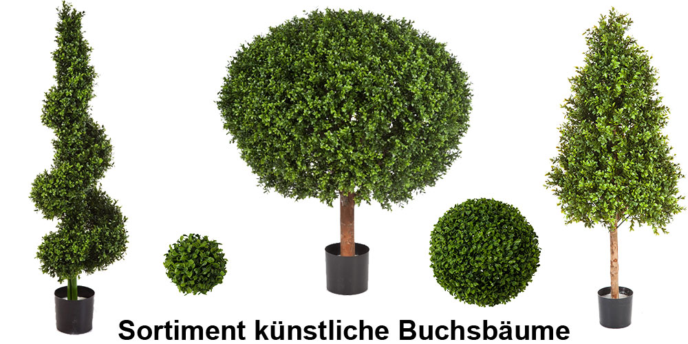 Buchsbaum künstlich