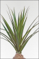 Preview: Agavenpflanze kuenstlich ca.140 cm, auch fuer die Aussendekoration geeignet !