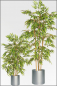 Preview: künstlicher Bambus mit Naturstamm