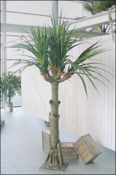 Agavenbaum künstlich, ca.290 cm