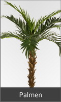 Kuenstliche Palmen