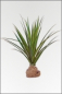 Mobile Preview: Agavenpflanze künstlich ca. 96 cm