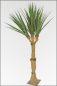 Mobile Preview: Agavenbaum kuenstlich, 290 cm auch fuer die Aussendekoration geeignet.