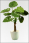 Preview: Alocasia Calidora, künstliche Zimmerpflanze ca. 80 cm