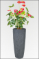 Mobile Preview: Anthurium rot, kuenstliche bluehende Zimmerpflanze ca. 80 cm.