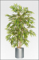 Mobile Preview: Bambus ca.120 cm mit Naturstamm.