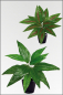 Mobile Preview: Canna, kuenstliche Zimmerpflanze ca. 50 cm