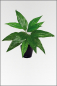 Preview: Canna, kuenstliche Zimmerpflanze ca. 60 cm