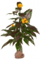 Preview: Canna künstlich ca. 180 cm mit gelben Blüten