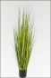 Preview: Carex Ziergas 120 cm gruen/gelb