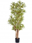 Preview: Dracena Reflexa mit Naturstamm, ca.120 cm in verschiedenen Farben