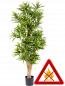 Preview: Dracena Reflexa künstlich ca.150 cm, permanent schwerentflammbar