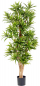 Preview: Dracena Reflexa mit Naturstamm, ca.120 cm in verschiedenen Farben