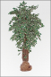 Preview: Ficus Japonica Tropical kuenstlich Naturlianenstamm