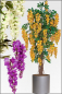 Mobile Preview: Goldregen Baum 250 cm creme/weiss