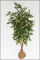 Mobile Preview: Mango Baum bluehend kuenstlich, Naturstamm; ca.180 cm.