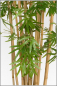 Preview: Mini Bambus kuenstlich mit Naturstamm; ca. 110 cm