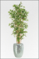 Preview: Mini Bambus kuenstlich mit Naturstamm; ca. 110 cm