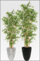 Mobile Preview: Mini Bambus kuenstlich mit Naturstamm; ca. 140 cm