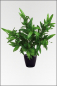 Preview: Oleander künstliche Zimmerpflanze ca. 60 cm.