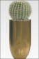 Preview: Palermo Elegance, Vase Durchmesser 35 x 60 cm Blattgold
