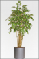 Preview: Pfeil Bambus kuenstlich mit Naturstamm ca. 250 cm