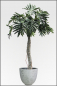Preview: Philodendron Selloum künstlich