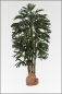 Mobile Preview: Rhapis Palme, kuenstliche Palme mit Naturstamm ca.180 cm