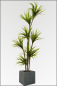 Mobile Preview: Yuccapalme, kuenstliche Palme aus Kunststoff ca. 160 cm.