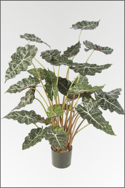 Alocasia Amazonica, kuenstliche Zimmerpflanze ca. 110 cm