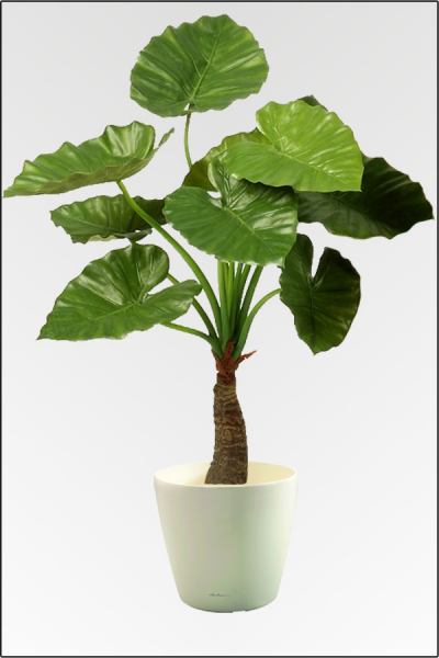 Alocasia Calidora, künstliche Zimmerpflanze ca. 80 cm