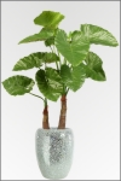 Alocasia Calidora kuenstliche Zimmerpflanze ca. 100 cm 
