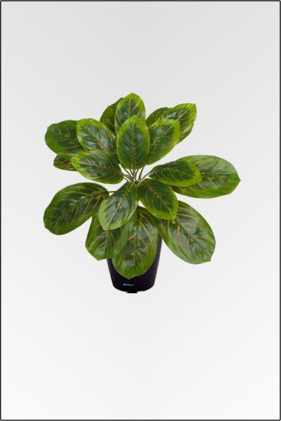 Marante, kuenstliche Zimmerpflanze ca. 30 cm