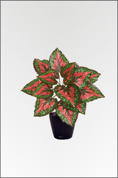 Begonie, kuenstliche Zimmerpflanze ca. 40 cm mit 14 Blatt