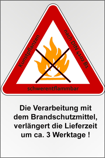 Preview: DIN 4102 B1