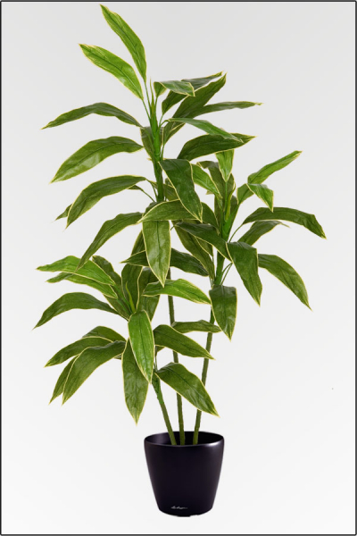 Brasil Dracene 3 fach kuenstliche Topfpflanze; ca.120 cm.