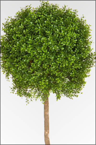 Buchsbaum Kugelbaum; Kunststoff; Natur Hochstamm; ca. 150 cm