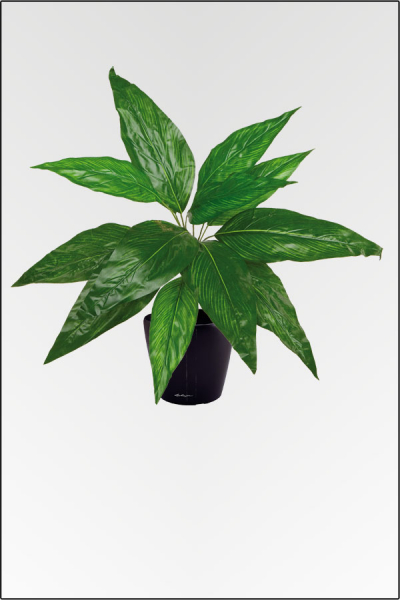 Canna, künstliche Zimmerpflanze ca. 60 cm
