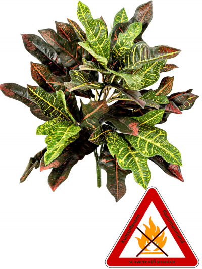 Croton Busch, ca. 50 cm, permanent schwerentflammbar.