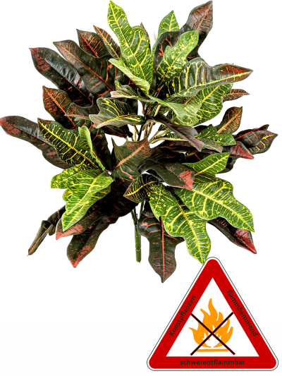 Croton Busch, ca. 50 cm, permanent schwerentflammbar.