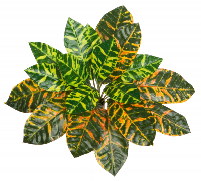 Croton, kuenstliche Zimmerpflanze ca. 30 cm mit 18 Blatt