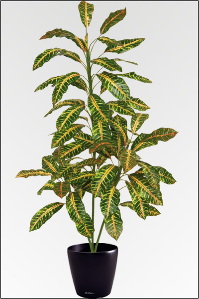 Croton künstlich ca.170 cm