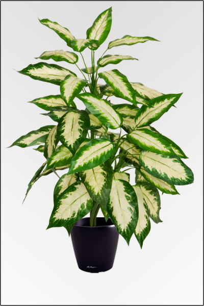Dieffenbachia Exotica, künstliche Zimmerpflanze ca. 90 cm.