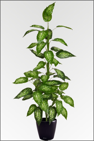 Dieffenbachia, kuenstliche Topfpflanze ca. 170 cm.