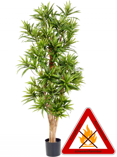 Dracena Reflexa künstlich ca.150 cm, permanent schwerentflammbar