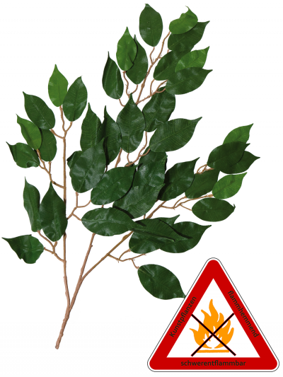 Ficus Benjamin Zweig künstlich ca. 60 cm,permanent schwerentflammbar.