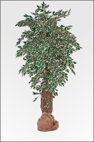 Ficus Japonica Tropical kuenstlich Naturlianenstamm