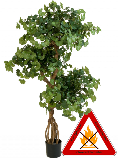 Ginkgobaum ca.145 cm, permanent schwerenflammbar.