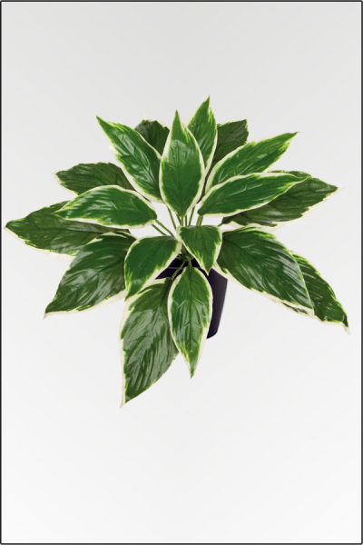 Hosta Francee, kuenstliche Zimmerpflanze ca. 30 cm mit 18 Blatt