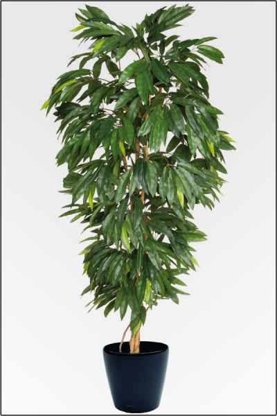 Mango Baum kuenstlich, mit Naturstamm 210 cm